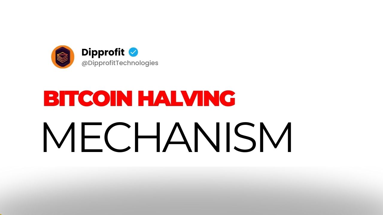 Bitcoin Halving Explained for Serious Investors (3)