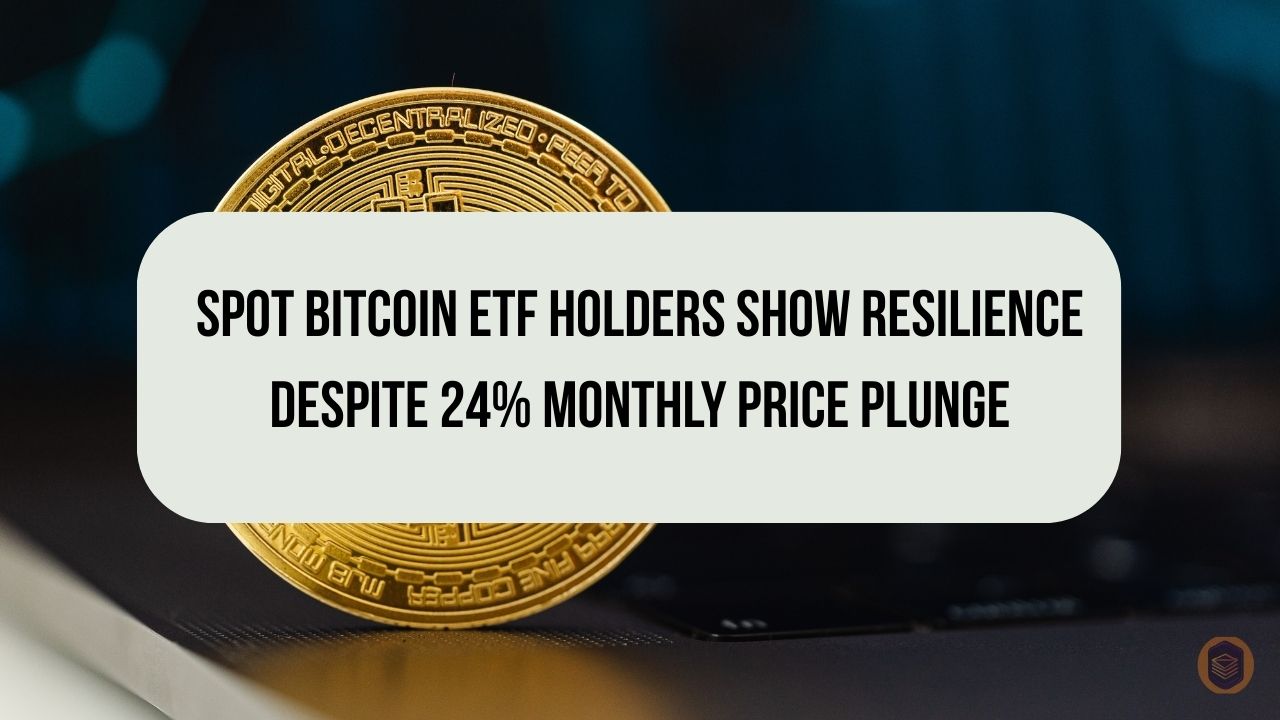 Spot Bitcoin ETF Holders Show Resilience Despite 24% Monthly Price Plunge
